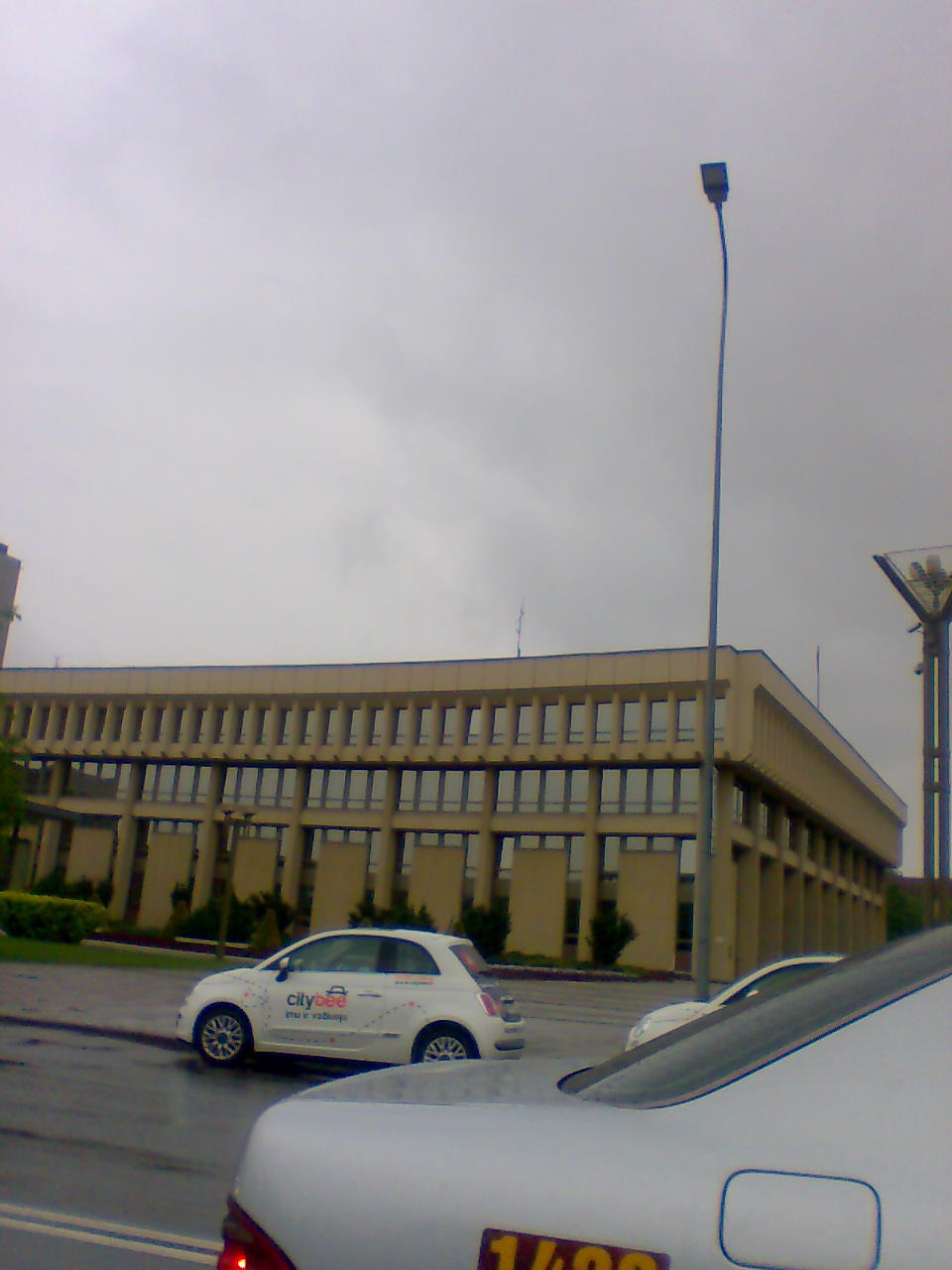 Vaikinas ieško merginos
